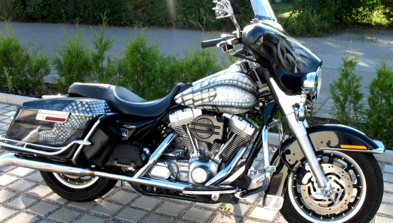 Drachen Harley 01