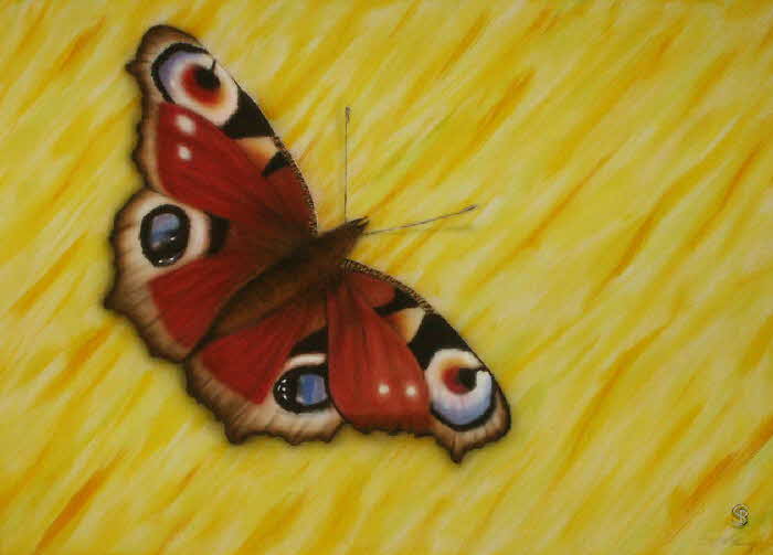 Schmetterling